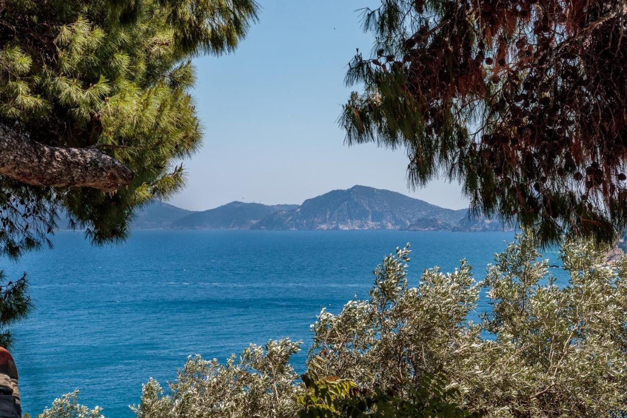 Remezzo Cottage Skopelos Exteriér fotografie